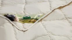 Dekbed Multikeus 200 Wol Zomer -BETER BED Winkel Dekbed Multikeus 200 wol zomer 3