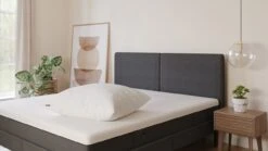 Hoofdkussen Emma Essential 9 Hoofdkussen Emma Essential -BETER BED Winkel Hoofdkussen Essential 3