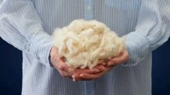 Hoofdkussen First Kapok -BETER BED Winkel Hoofdkussen Kapok 1